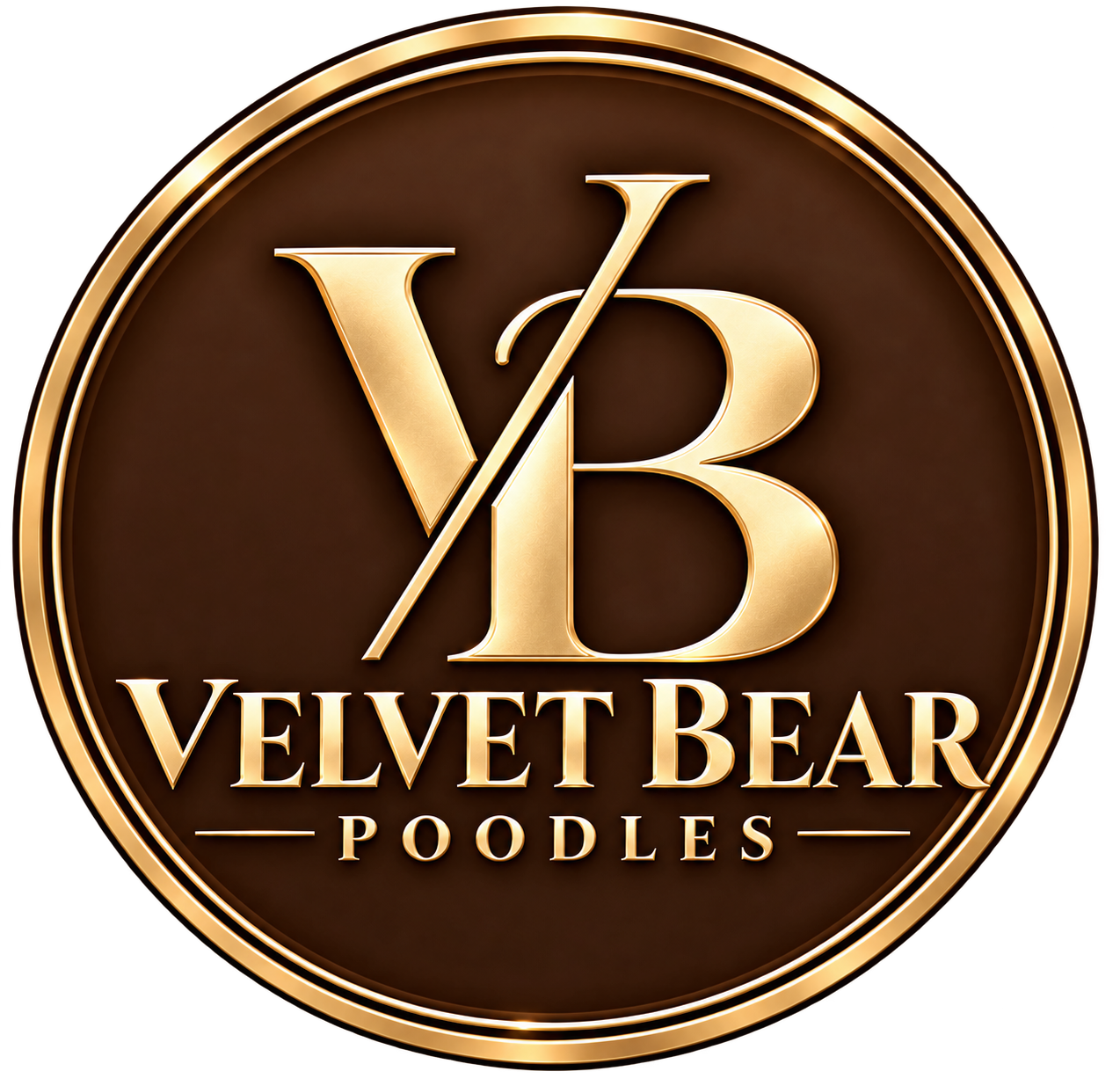 Velvet Bear Poodles